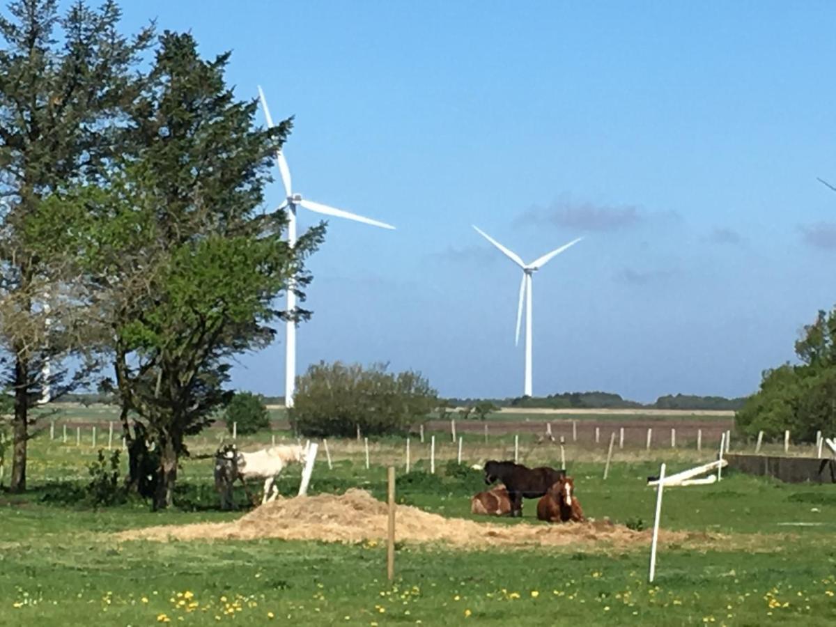 Gaestehuset “Vesterhede” Ringkøbing Exteriér fotografie