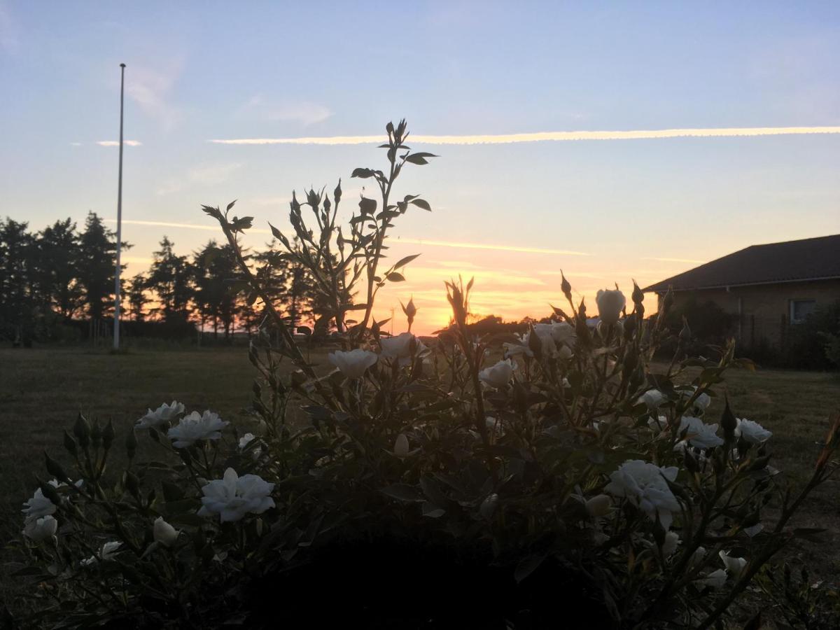Gaestehuset “Vesterhede” Ringkøbing Exteriér fotografie